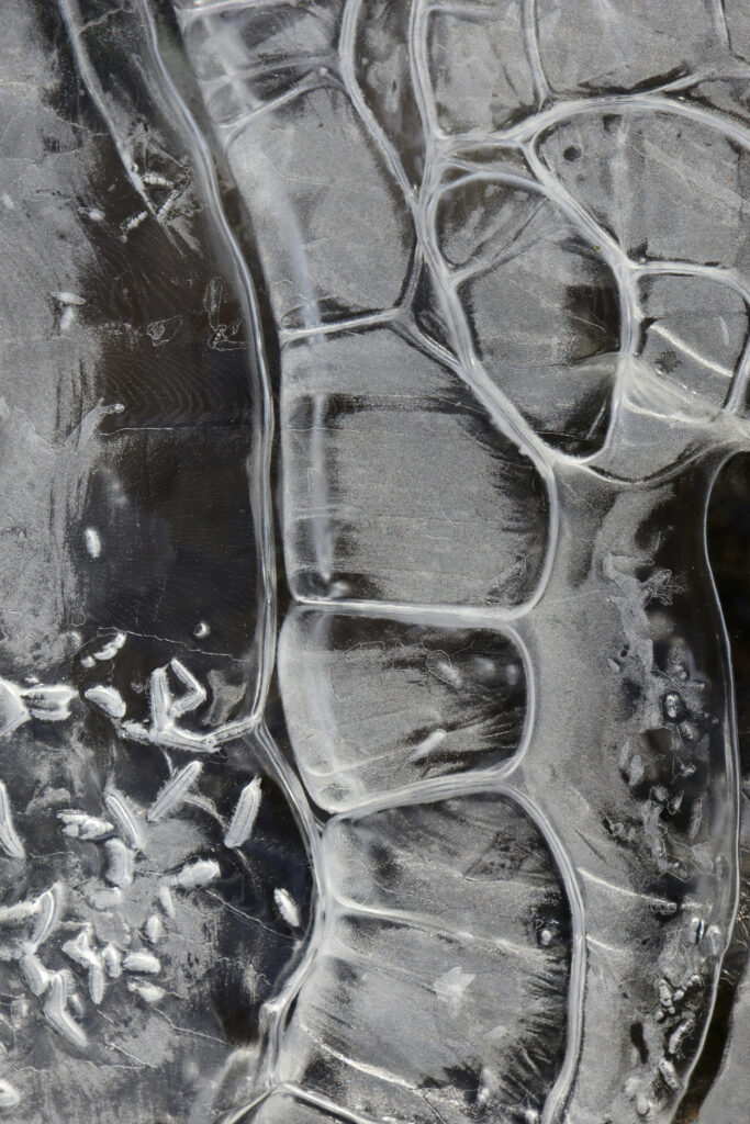 Managing Osteoporosis Effectively